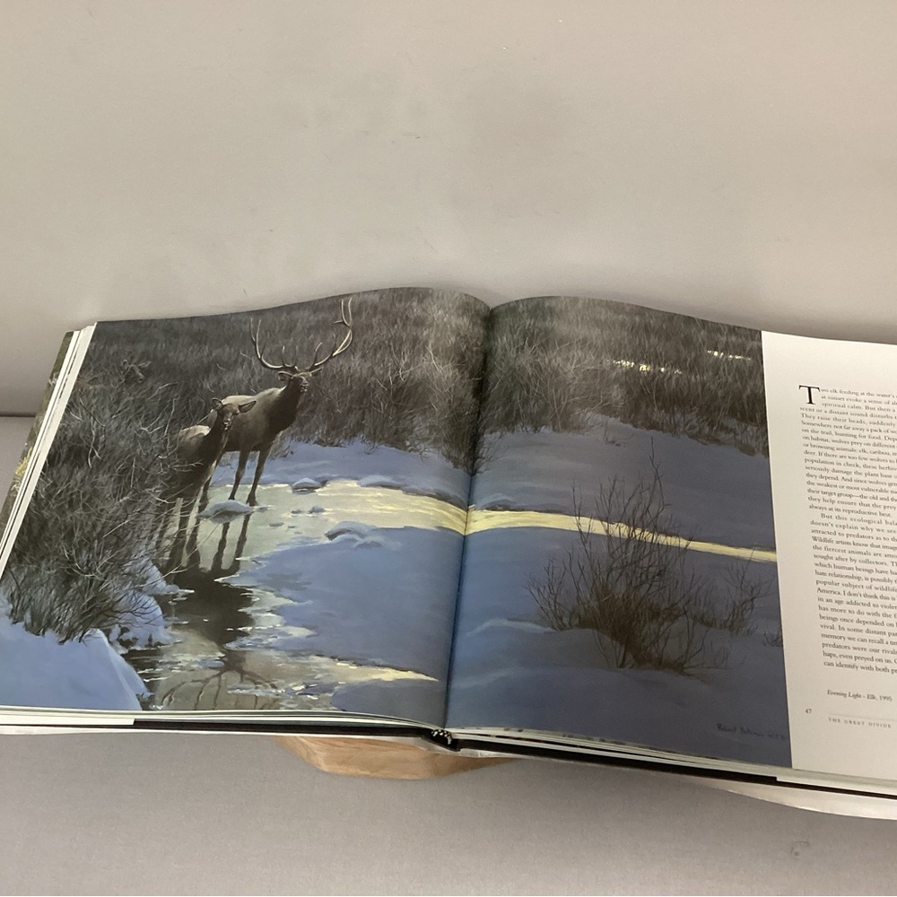 🟡 Vintage Robert Bateman - Natural World Large Coffee Table Book - Rick Archbold - Picture 7 of 16